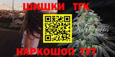 молекула духа Камышлов