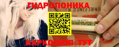 молекула духа Камышлов