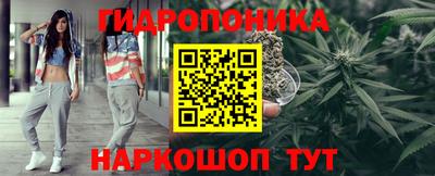 молекула духа Камышлов