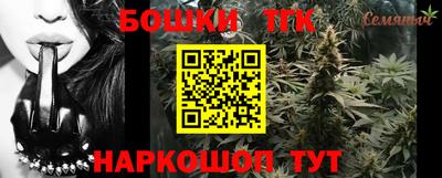 молекула духа Камышлов