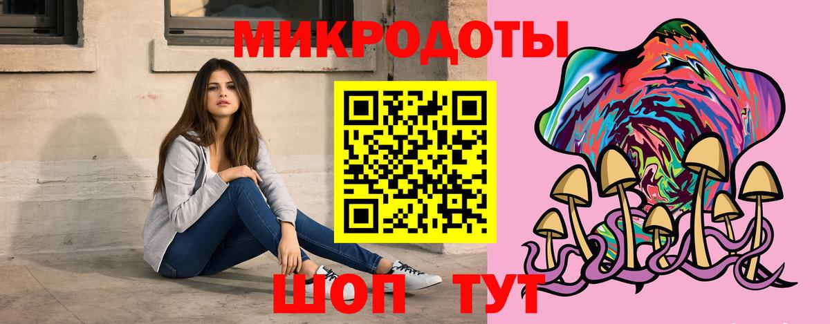 Галлюциногенные грибы Cubensis Владимир