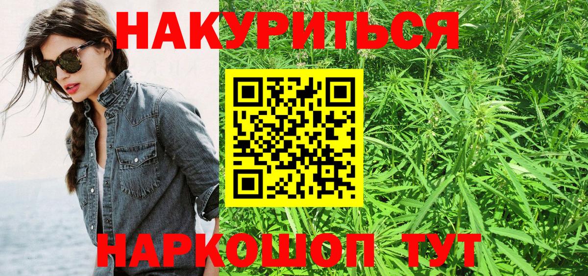 Каннабис планчик Владимир